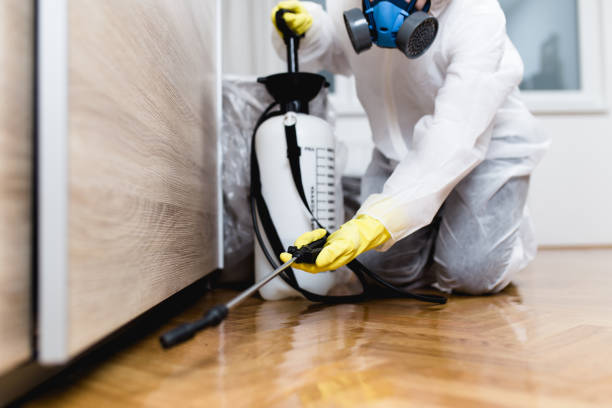 Diaz, AR Pest Control Company