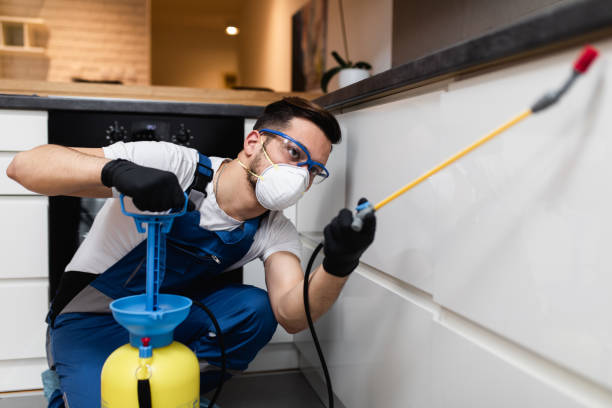 Best Exterminator Services  in Diaz, AR