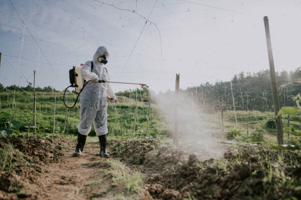 Best Commercial Pest Control Services  in Diaz, AR