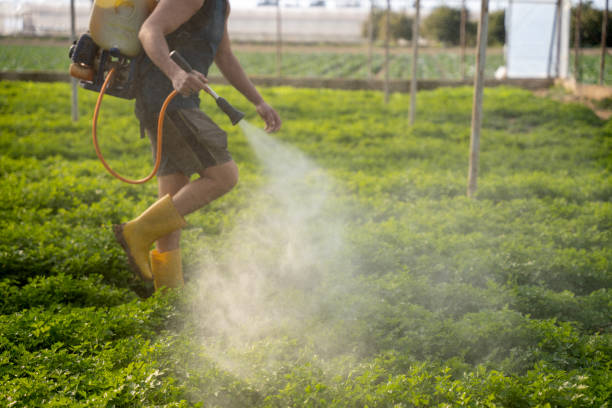 Best Residential Pest Control  in Diaz, AR