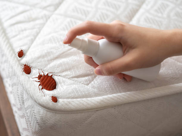 Best Pest Removal Services  in Diaz, AR