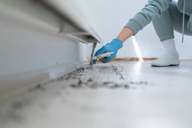 Best Cockroach Control Services  in Diaz, AR