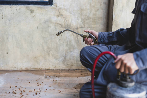 Best Best Pest Control Companies  in Diaz, AR