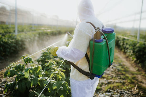Best Pest Prevention Services  in Diaz, AR